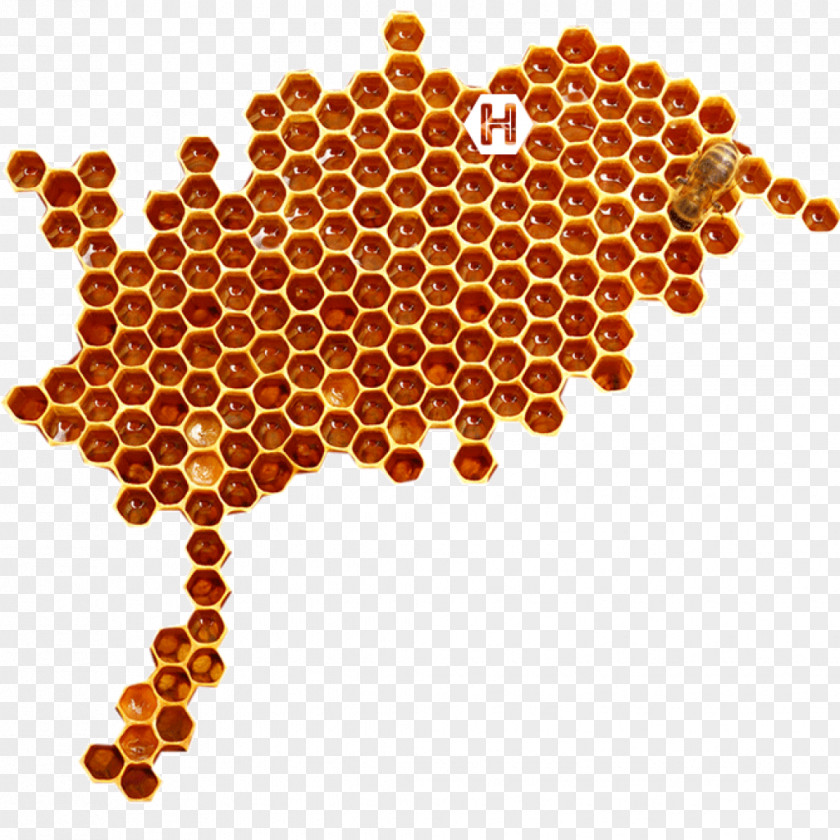 Bees Gather Honey Insect Honeycomb PNG