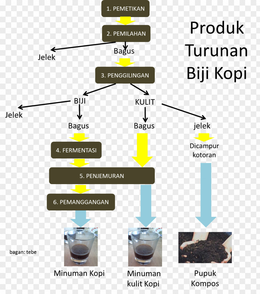 Coffee Bean Drink Coffea Process PNG