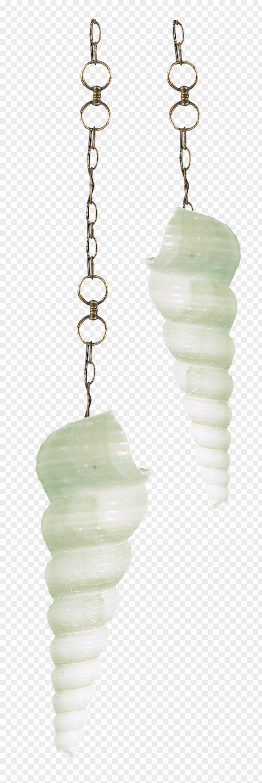 Conch Clip Art PNG