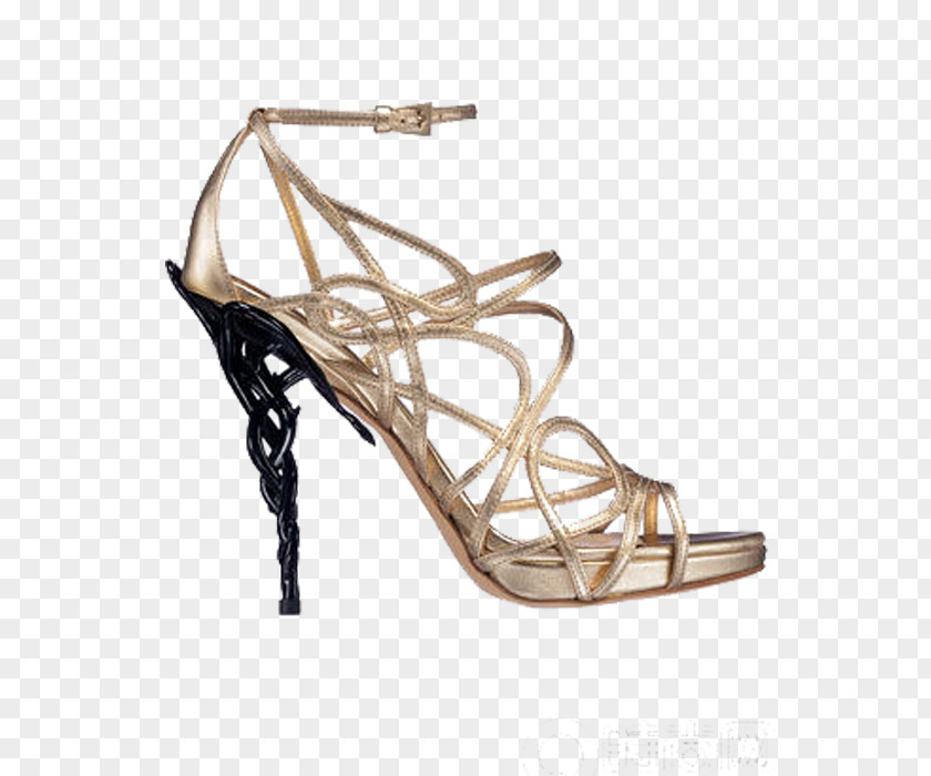 Exquisite High Heels Chanel Shoe Christian Dior SE High-heeled Footwear Fashion PNG