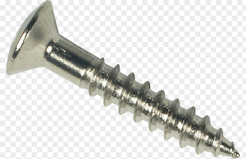 Screw Fastener Bigsby Vibrato Tailpiece Gibson Les Paul Tool PNG