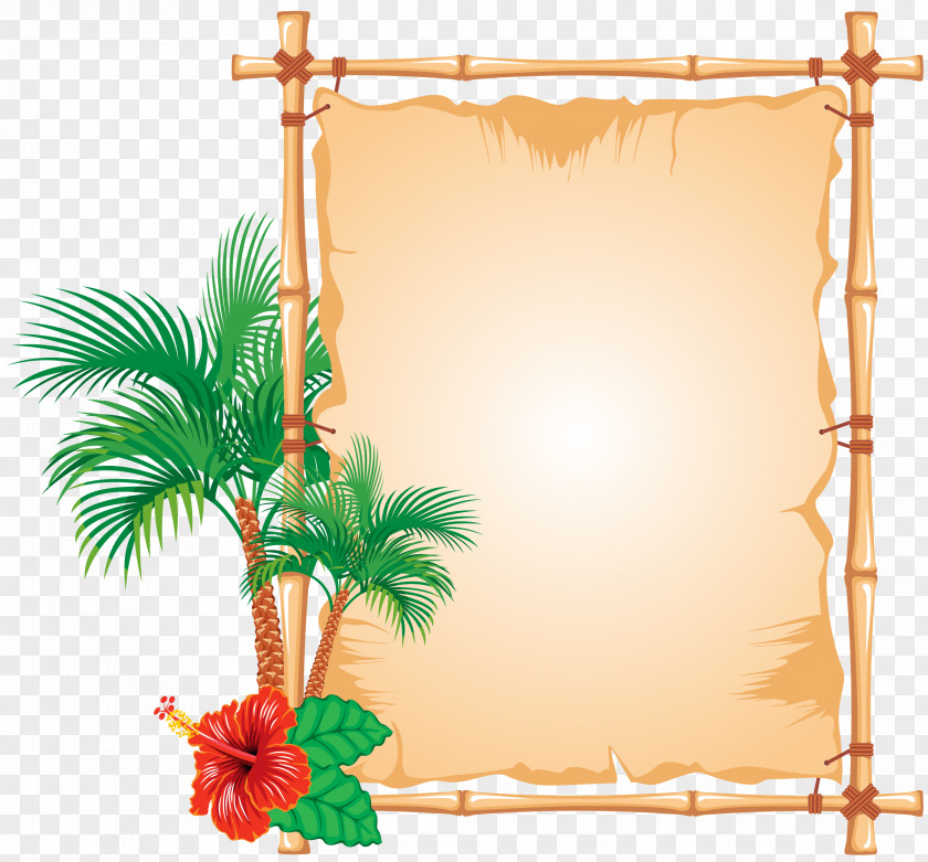 Caribbean Bamboo Picture Frames PNG