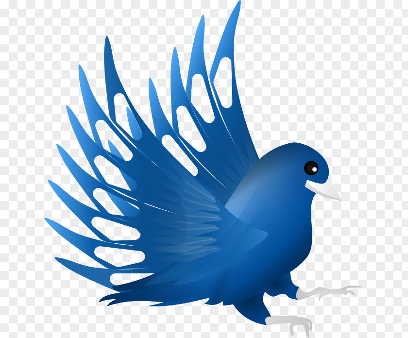 Feather Beak Cobalt Blue Clip Art PNG
