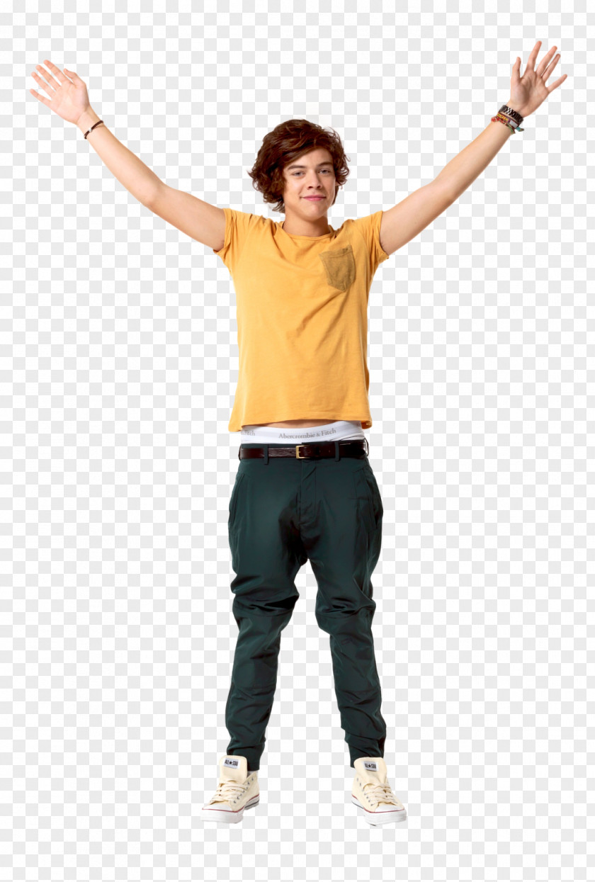 One Direction Celebrity Photography PNG