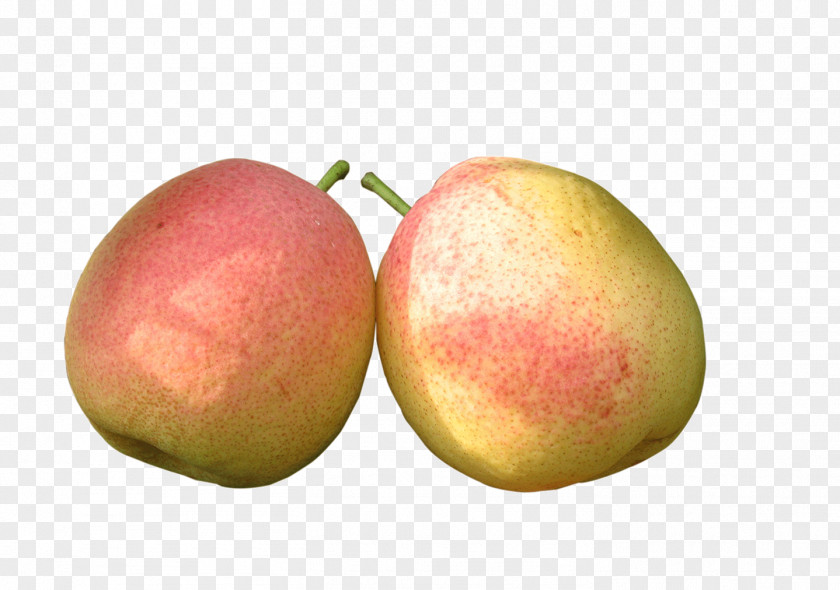 Pear Fruit Food Vegetable PNG