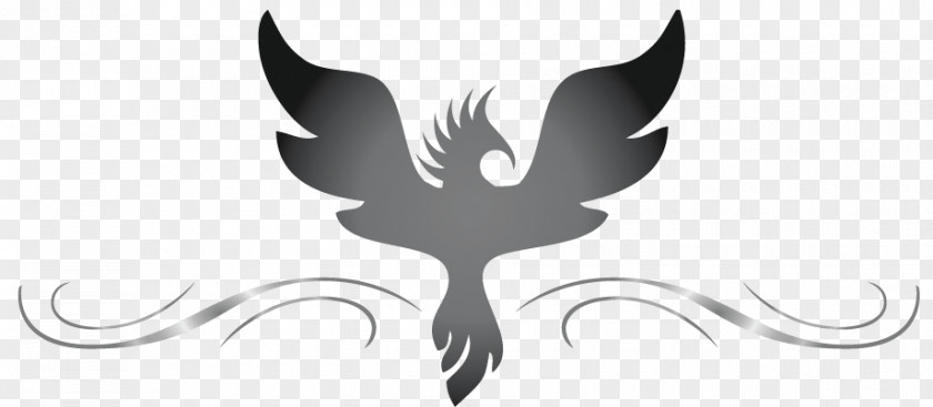 Phoenix Logo Graphic Design Image PNG