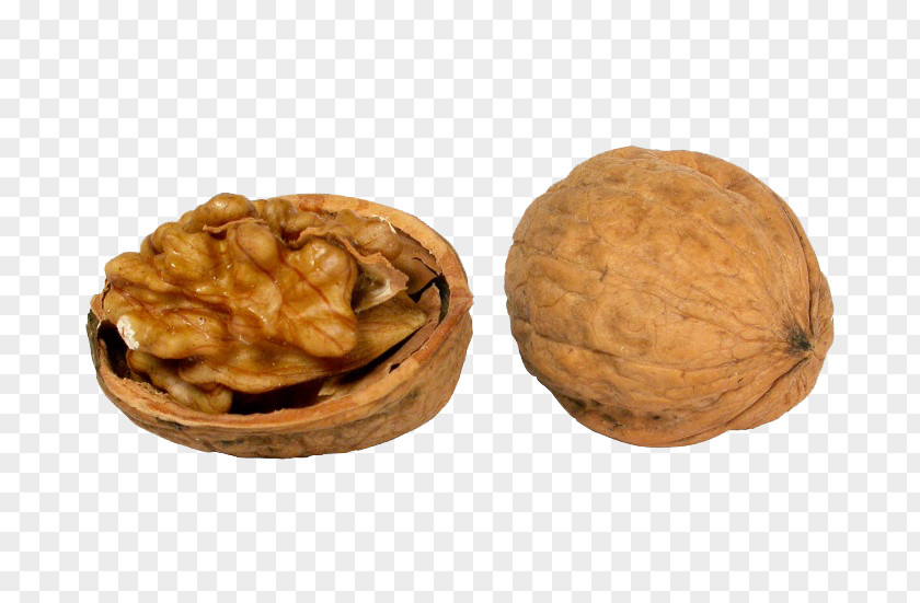 Walnut Photos English Clip Art PNG