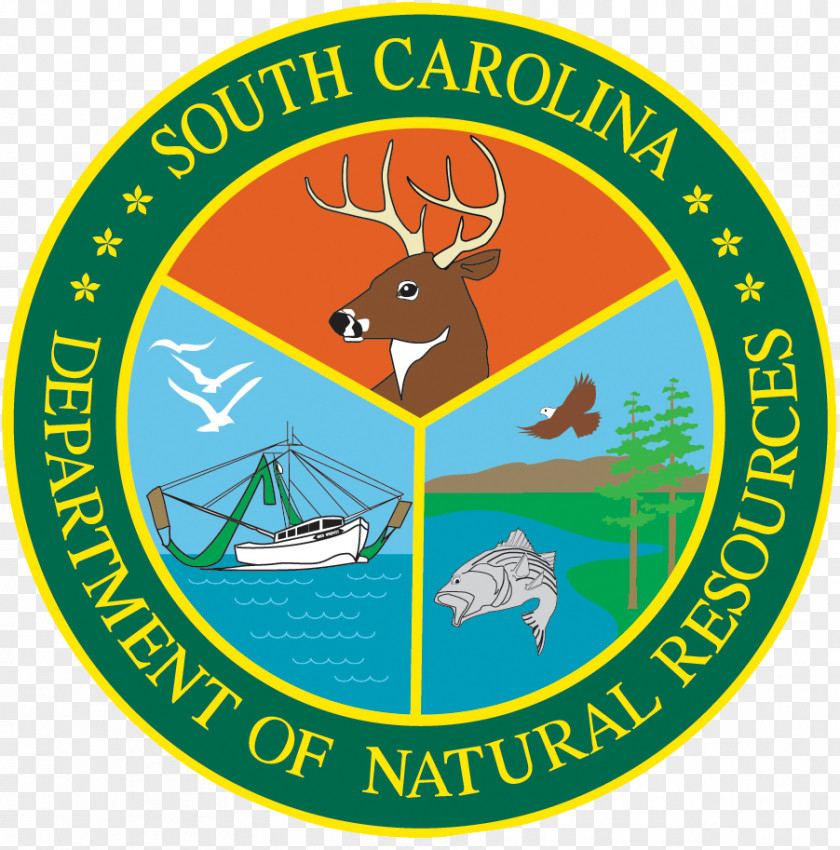 Advancement Insignia South Carolina Department Of Natural Resources Columbia Boating PNG