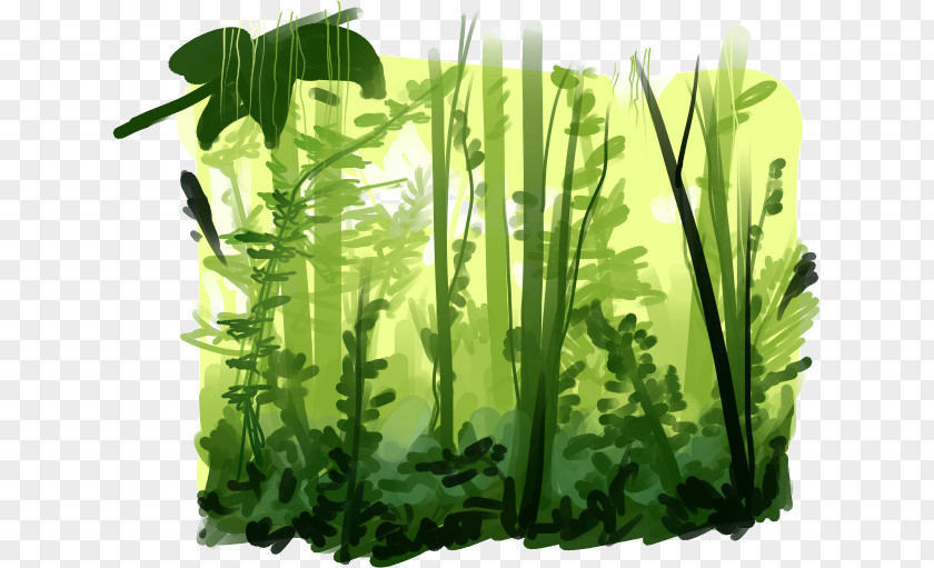 Animation Rainforest Image Vector Graphics PNG