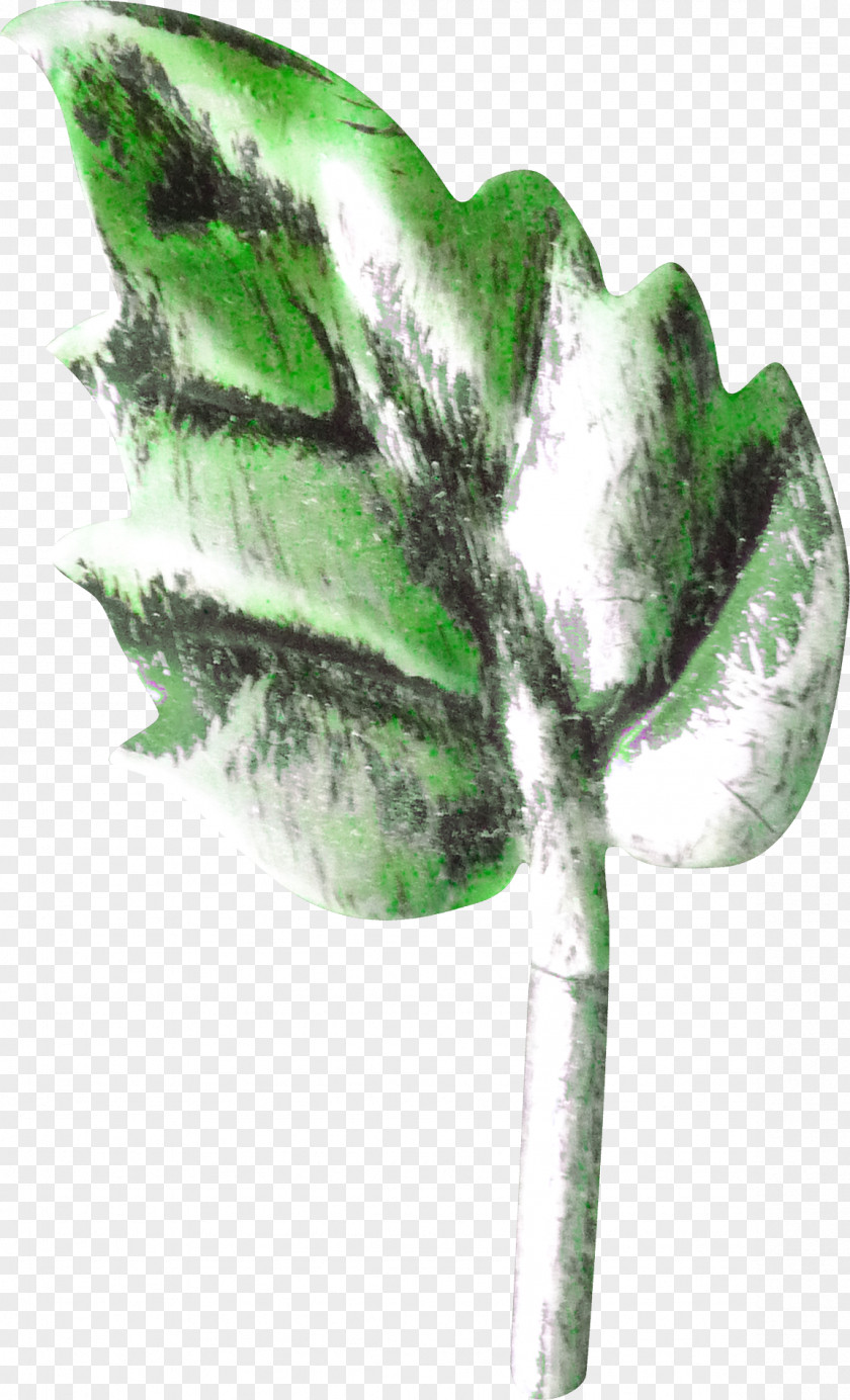 Decorative Model Leaves Maple Leaf Plant Stem Google Images PNG