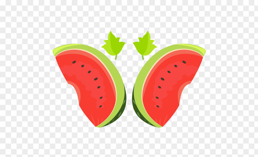 Fashion Watermelon Strawberry PNG