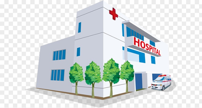 Hospital Information System Health Care Administration Web Development PNG