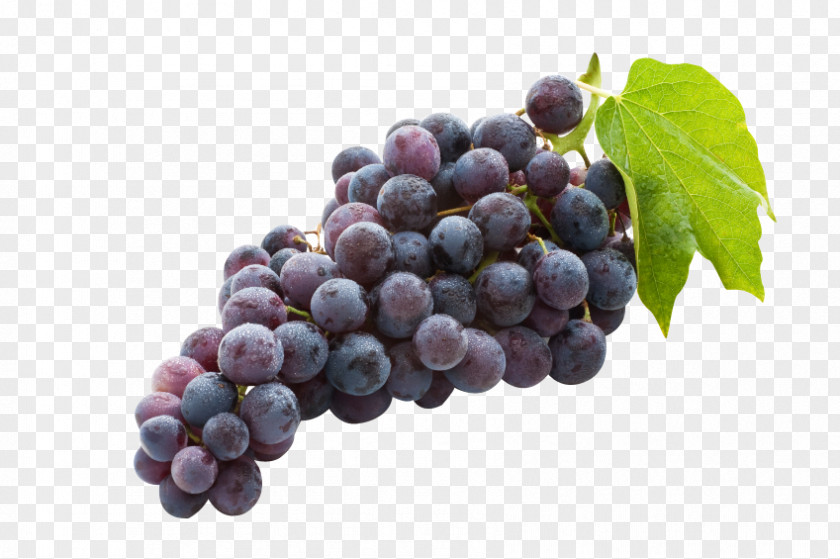 Juice Concord Grape Common Vine Wine Sultana PNG