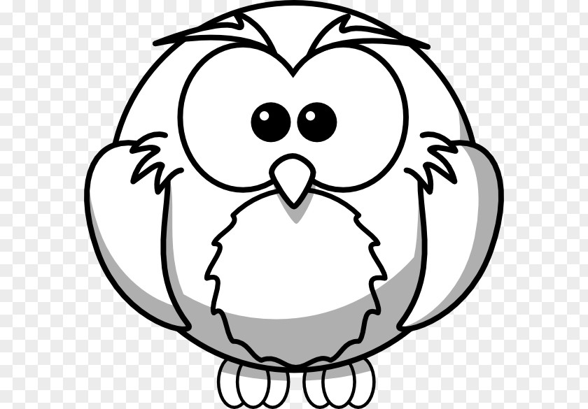 Owl Outline Cliparts Black And White Drawing Free Content Clip Art PNG