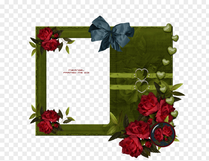 Picture Frames Photography Text PNG
