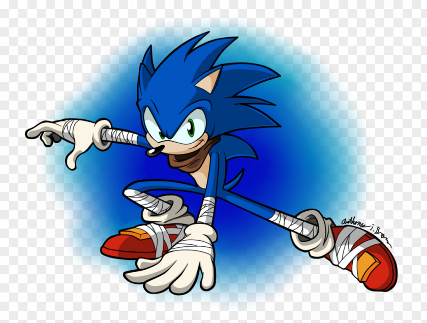 Sonic The Hedgehog Amy Rose SegaSonic Knuckles Echidna Chronicles: Dark Brotherhood PNG