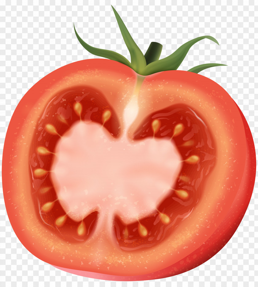 Tomato Plum Clip Art PNG