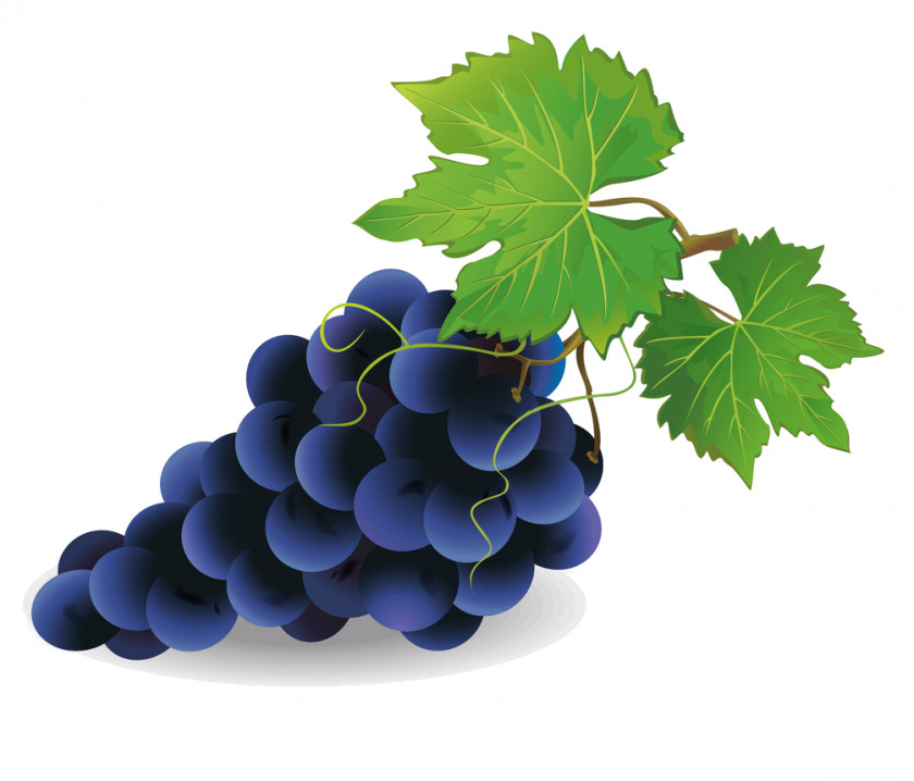 Wine Common Grape Vine Pie Clip Art PNG