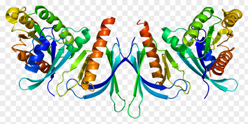 Zc EXOC8 Exocyst Complex Component 8 Gene RALB PNG