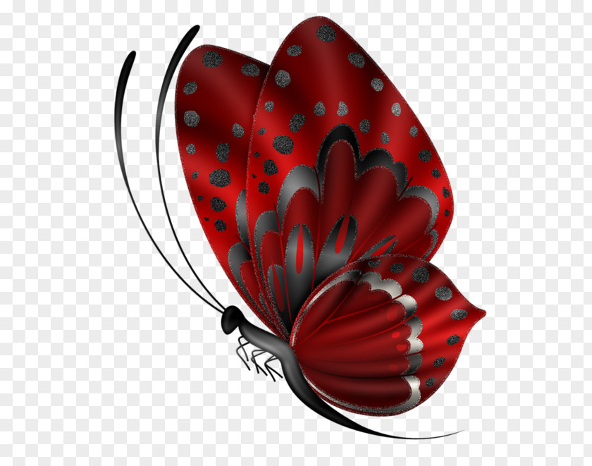 Beautiful Butterfly Lead Drawing Clip Art PNG