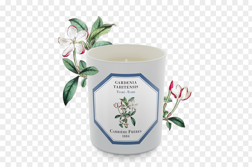 Candle Gardenia Taitensis Perfume Orange Blossom Grasse PNG