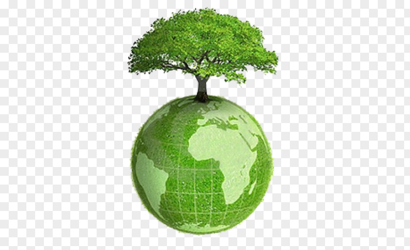 Earth Tree Planting World Globe PNG