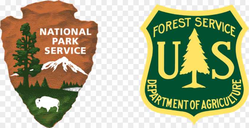 Forest United States Service Land Between The Lakes National Recreation Area Ochoco Gifford Pinchot PNG