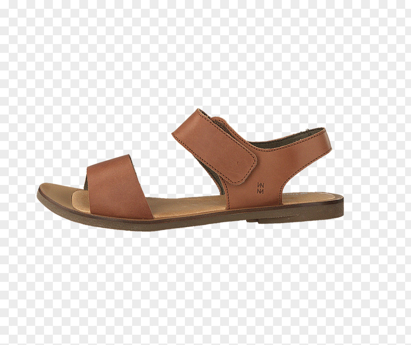 Sandal Amazon.com Shoe .de Color PNG