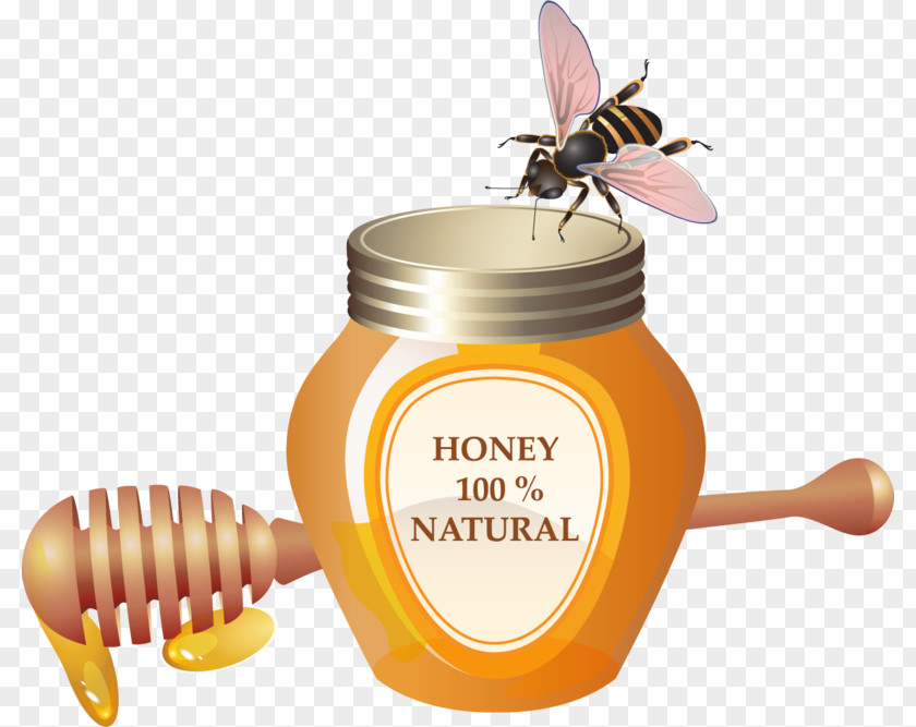 Sweetsop Honey Custard Bee Vector Graphics Image Clip Art PNG