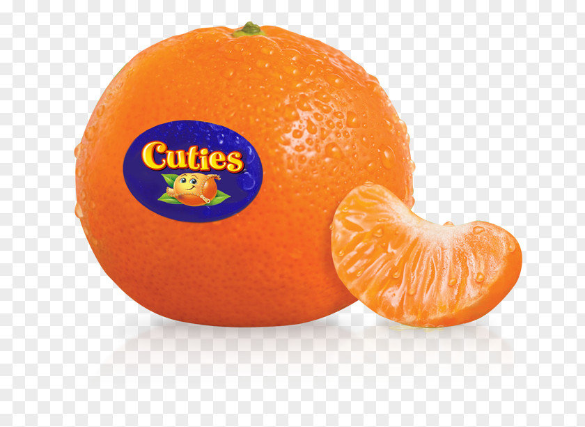 Tangerine Mandarin Orange Juice Clementine PNG