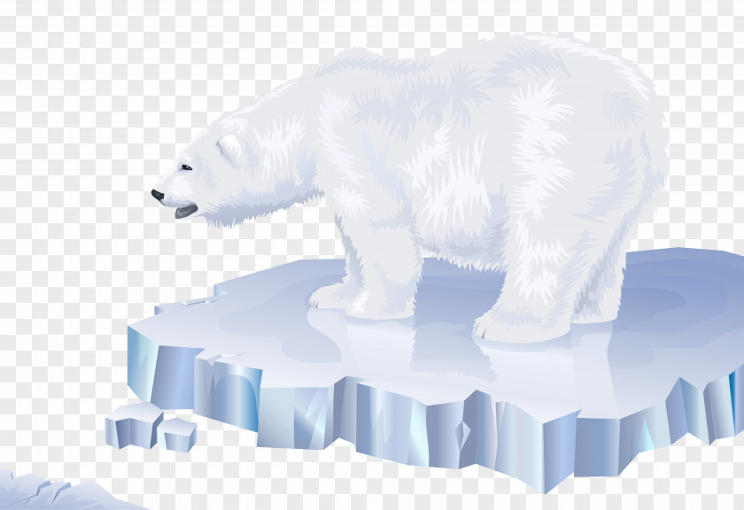 White Bear Transparent Clip Art Image Polar Arctic Regions Of Earth PNG