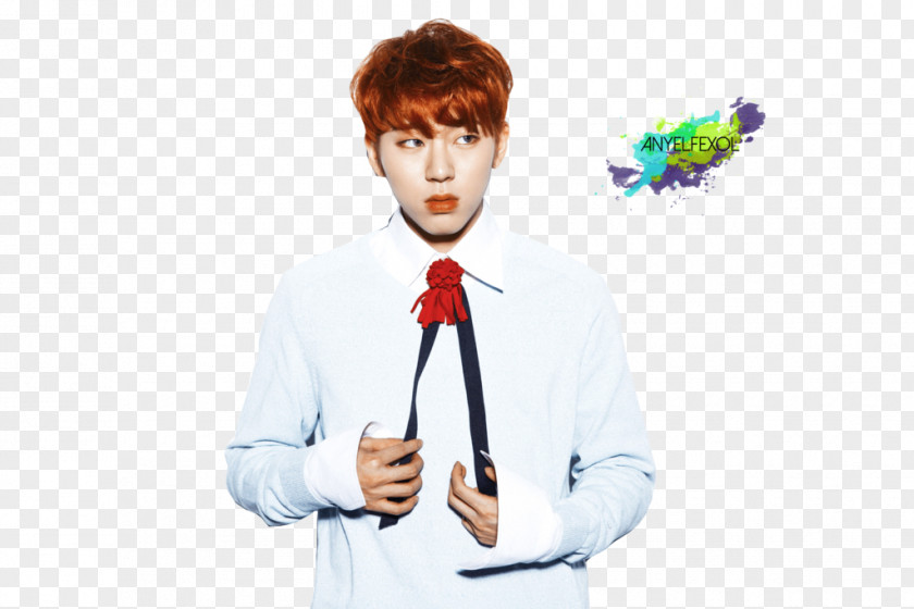 Block B Po Zico South Korea K-pop Korean Idol PNG