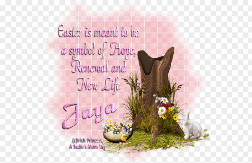 Cat Easter Font PNG