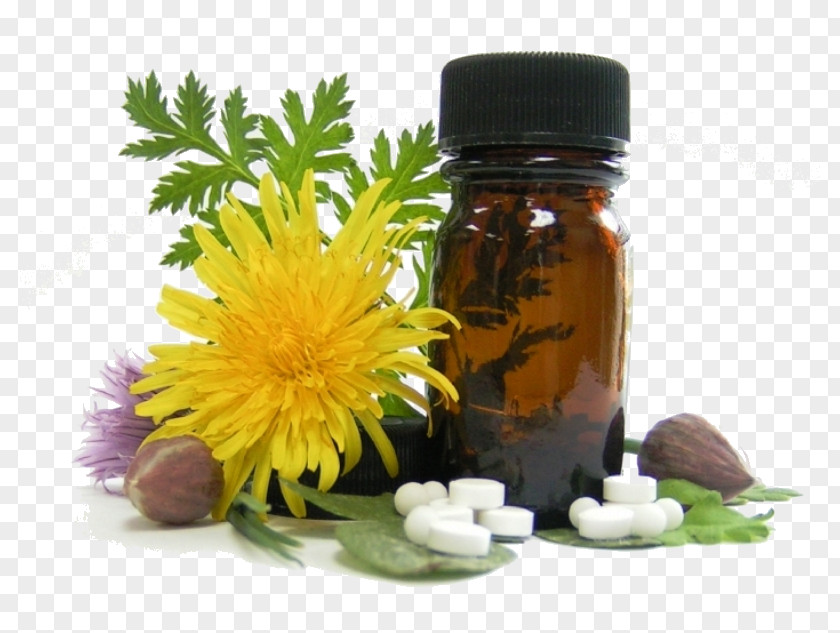 Homeopathy Medicine Physician Therapy Clinic PNG
