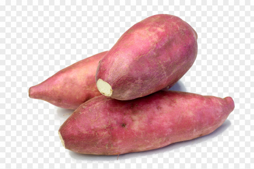 Sweet Potato Food Vegetable Tuber PNG