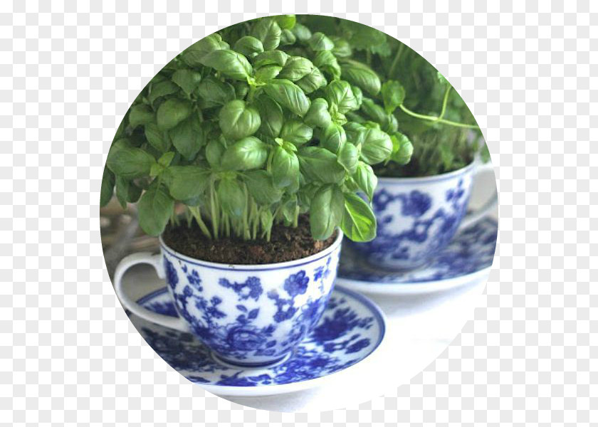 Apartment Garden House Herb Plants PNG