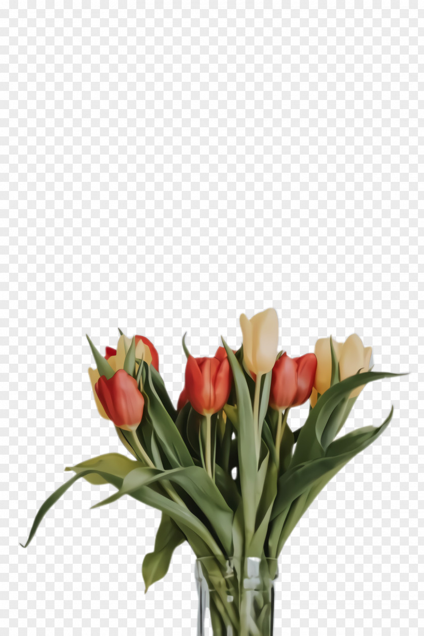 Floral Design Plant Stem Lily Flower Cartoon PNG