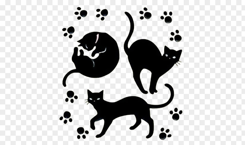 Black Cartoon Cat And Footprint Whiskers Wildcat PNG