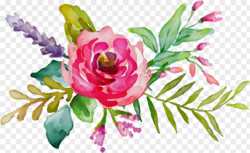 Floral Design PNG