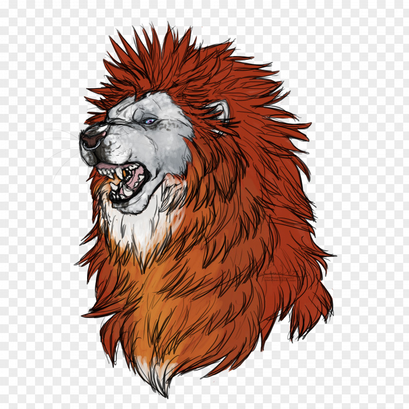 Lion Drawing Roar Angry Birds 2 Art Bear PNG