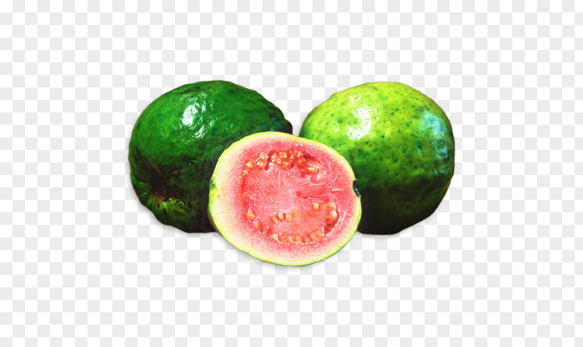 Vegetable Guava Watermelon Background PNG