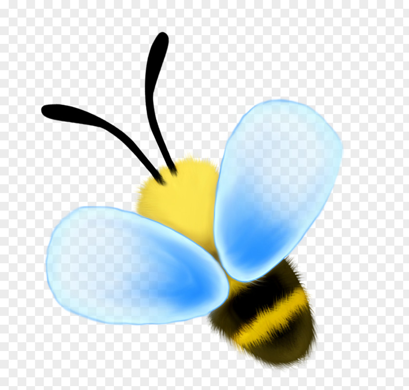 Bee Honey Clip Art PNG