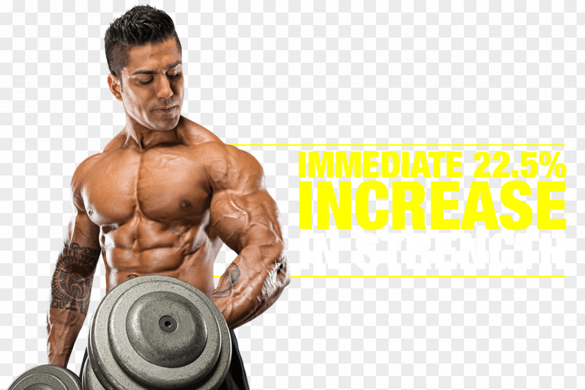 Bodybuilding Muscle Hypertrophy Physical Fitness Protein PNG