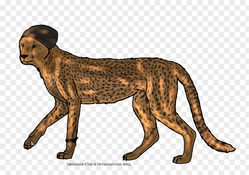 Cheetah Lion Cat Dog Terrestrial Animal PNG