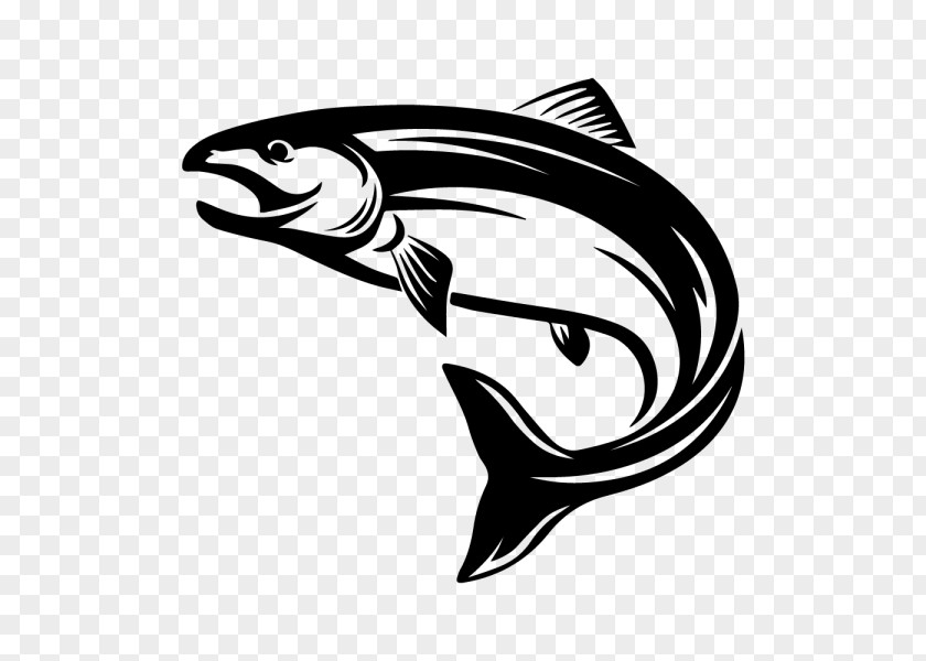 Fish Salmon Clip Art PNG
