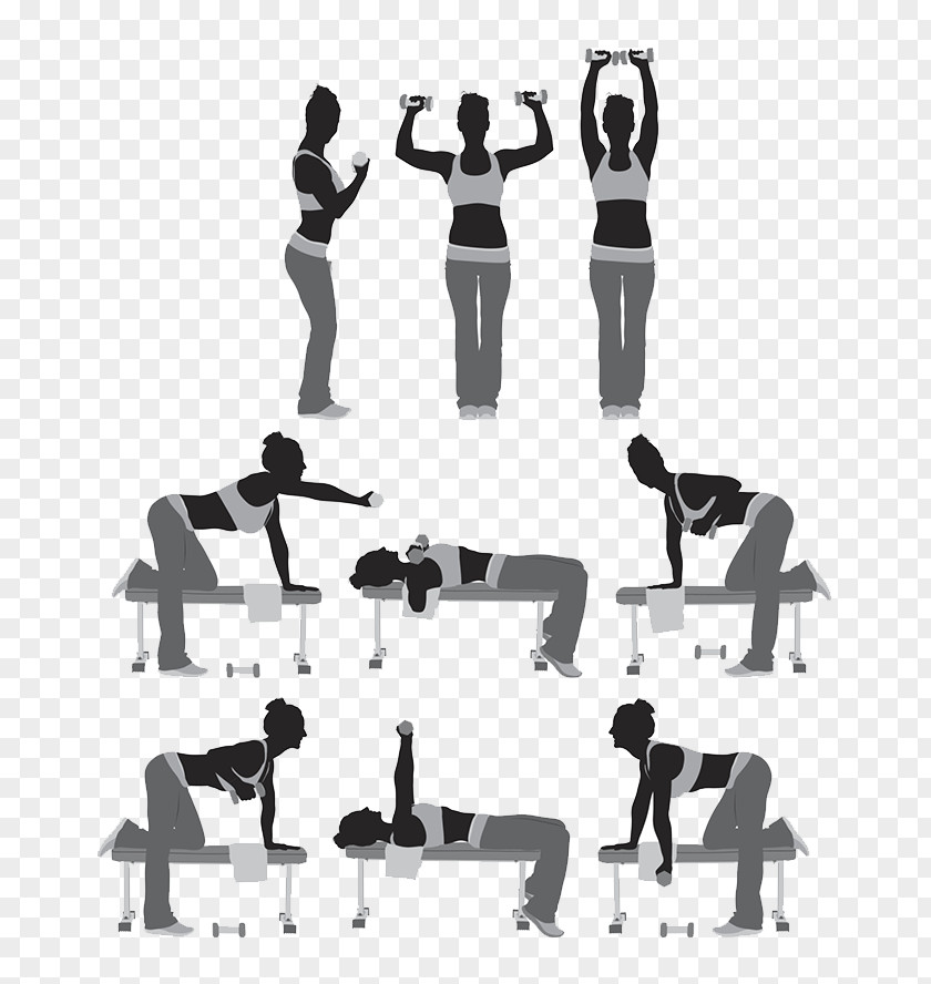 Fitness Silhouettes Silhouette Wellness SA Weight Training Illustration PNG