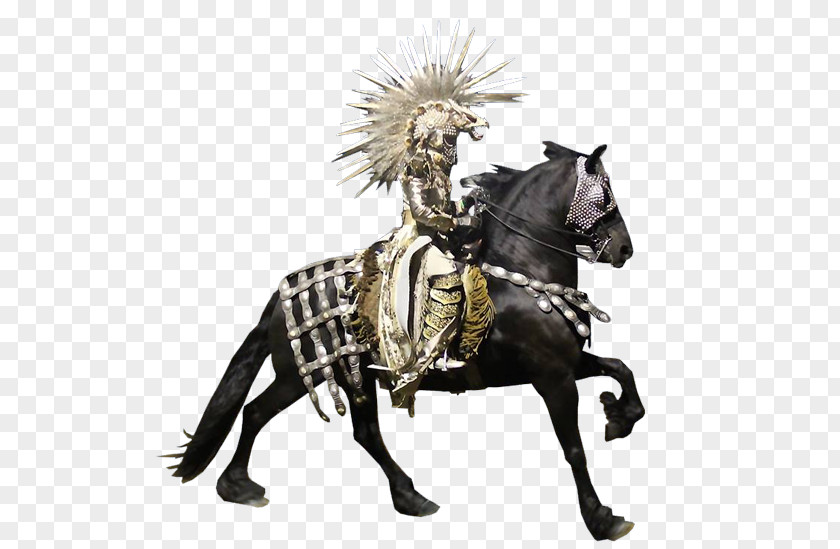 Gladiator Horse Desktop Wallpaper PNG