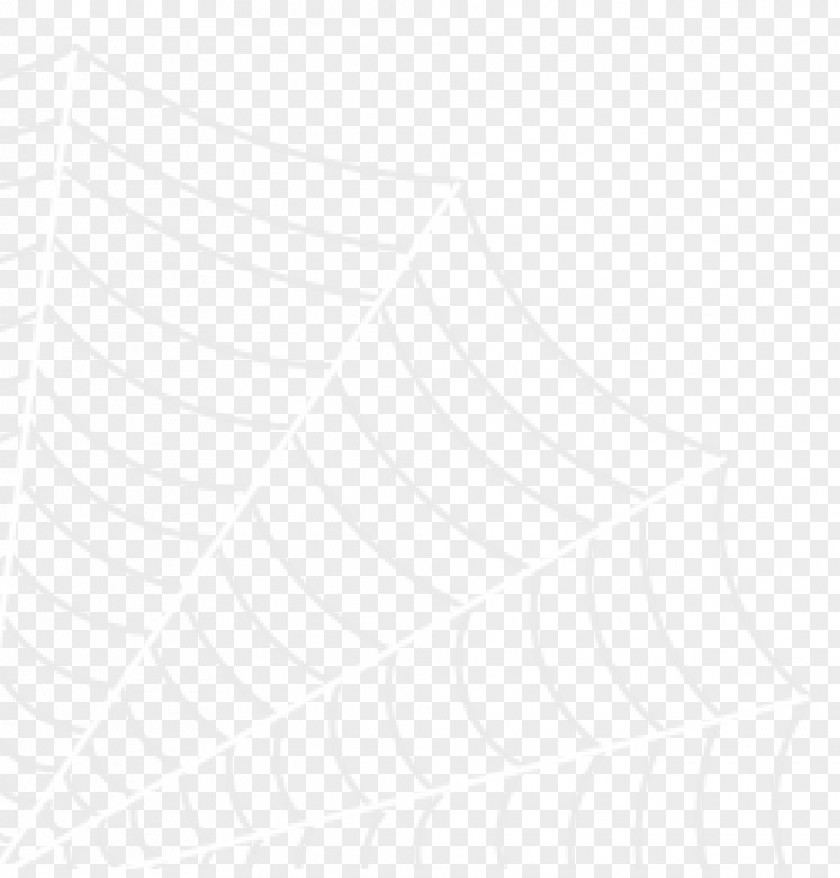 Line White Angle Pattern PNG