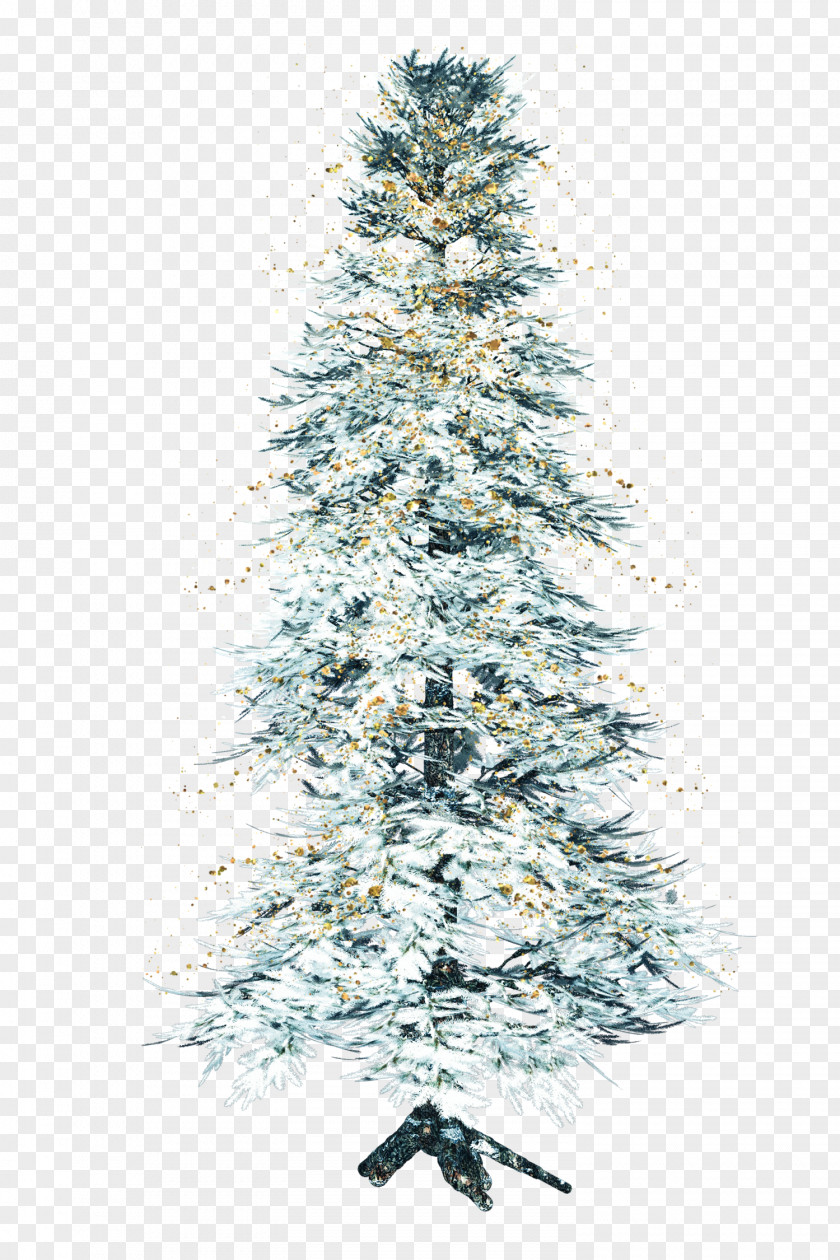 Pine Tree Conifers PNG