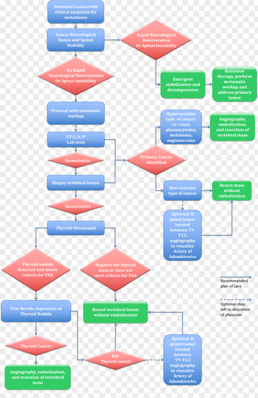 Thyroid Cancer Human Vertebral Column Metastasis Flowchart Spinal Tumor PNG